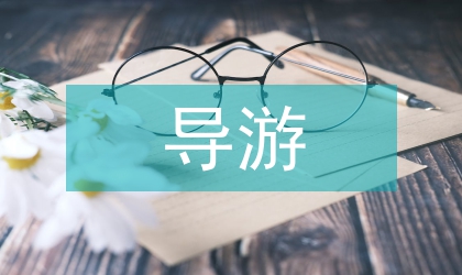 導(dǎo)游管理情況工作報(bào)告