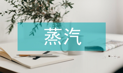 蒸汽計(jì)量IC卡預(yù)付費(fèi)控制系統(tǒng)的運(yùn)用