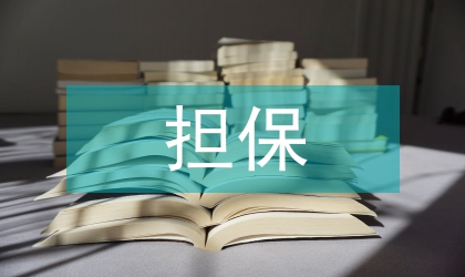 企業(yè)融資擔保信用