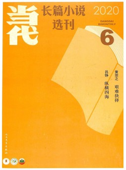 當(dāng)代長篇小說選刊